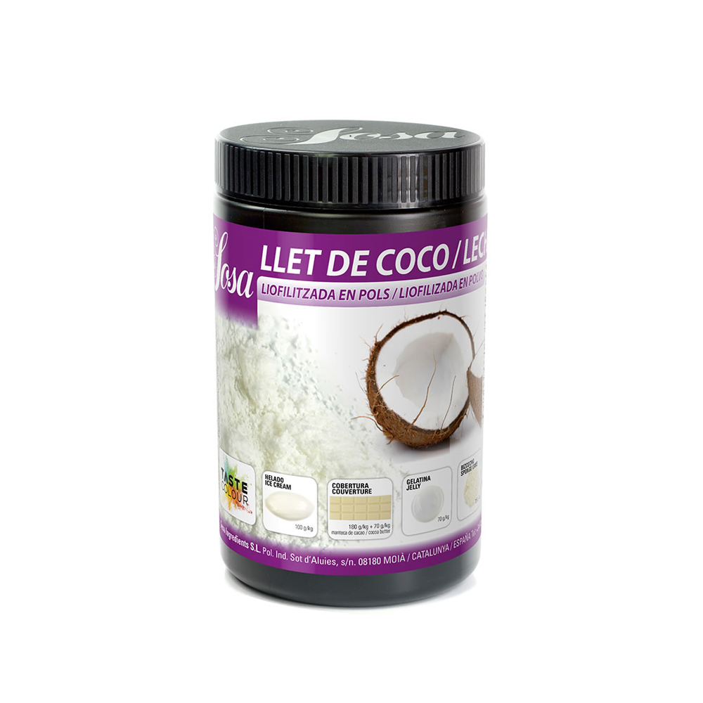 Coconut milk in powder 400 gr